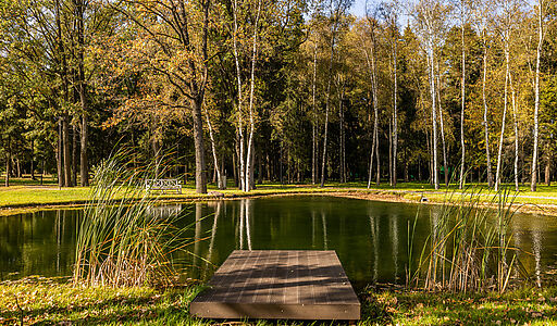 Резиденс Клаб