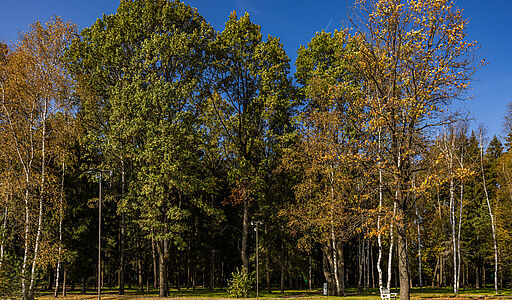 Резиденс Клаб