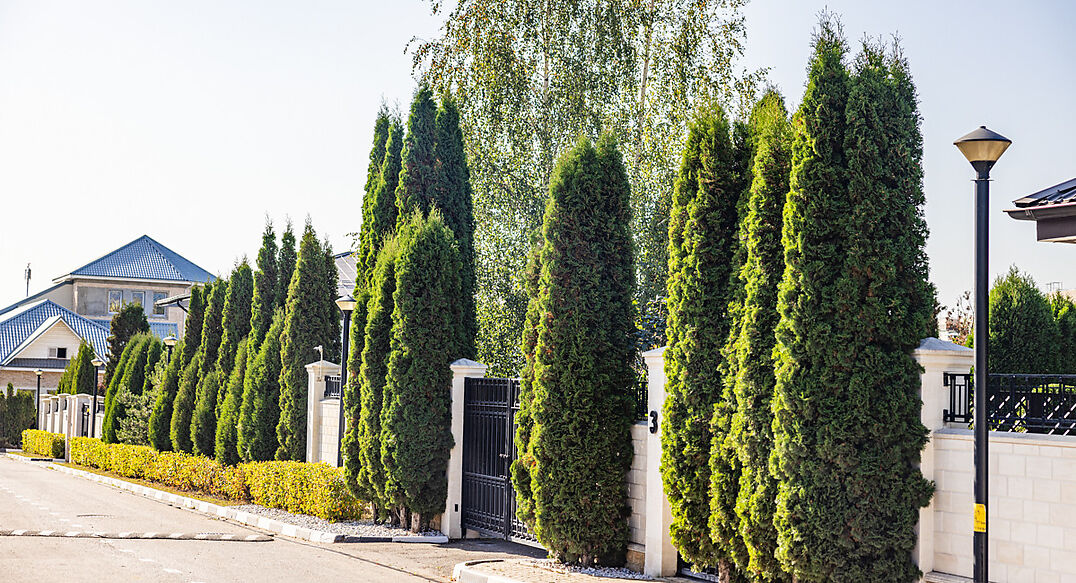 Резиденс Клаб