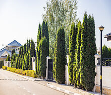 Резиденс Клаб