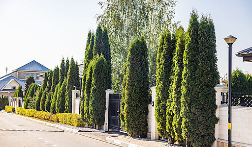 Резиденс Клаб