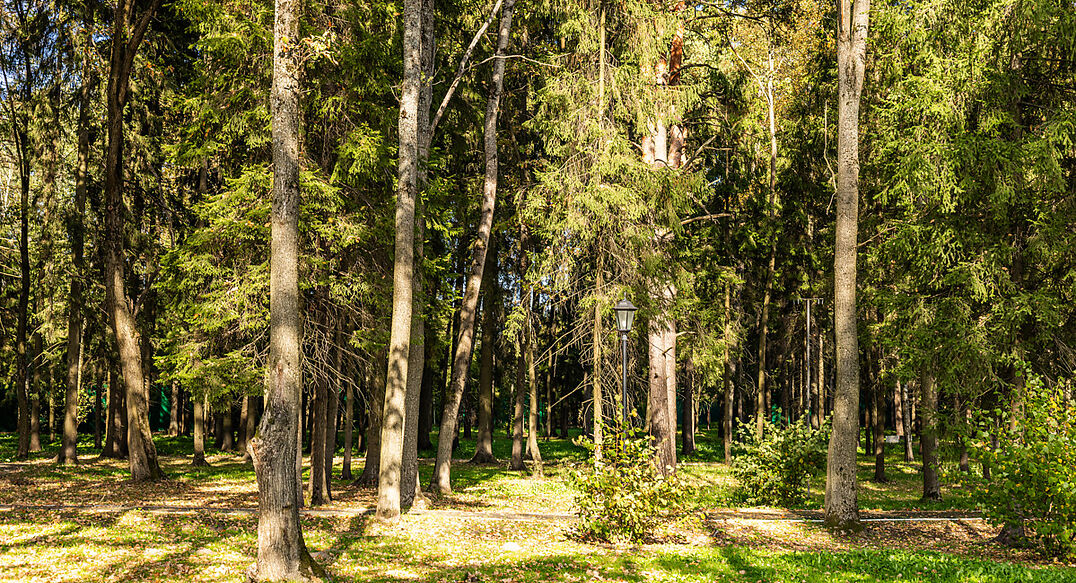 Резиденс Клаб