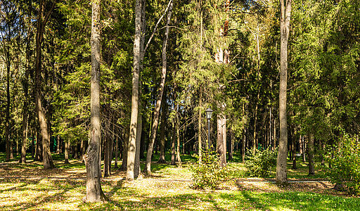 Резиденс Клаб