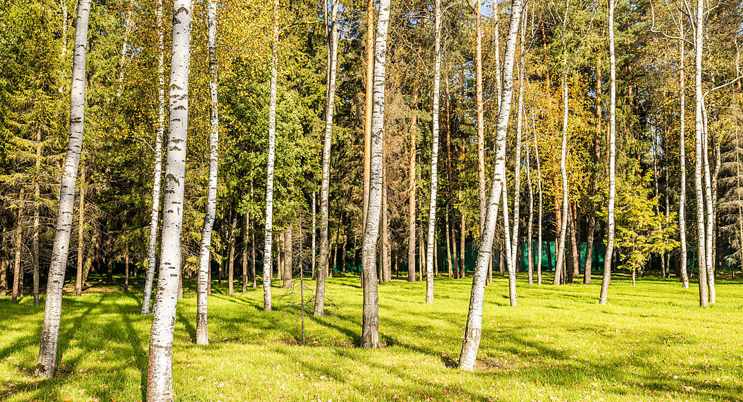 Резиденс Клаб