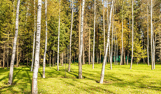 Резиденс Клаб