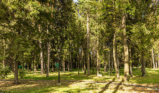 Резиденс Клаб