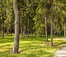 Резиденс Клаб