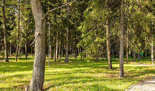 Резиденс Клаб