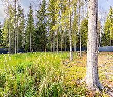 Дом в поселке Топаз