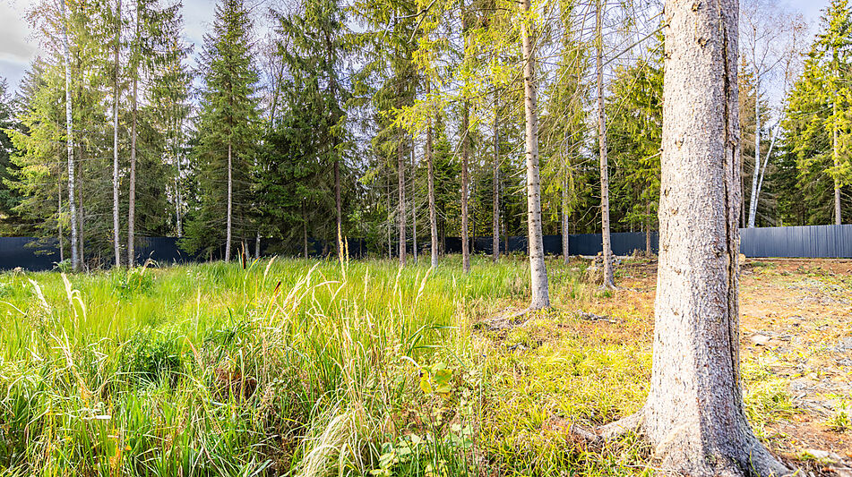 Дом в поселке Топаз