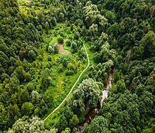 Лесной участок в Куркино