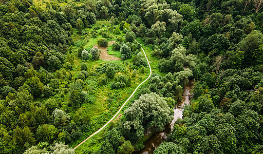 Лесной участок в Куркино