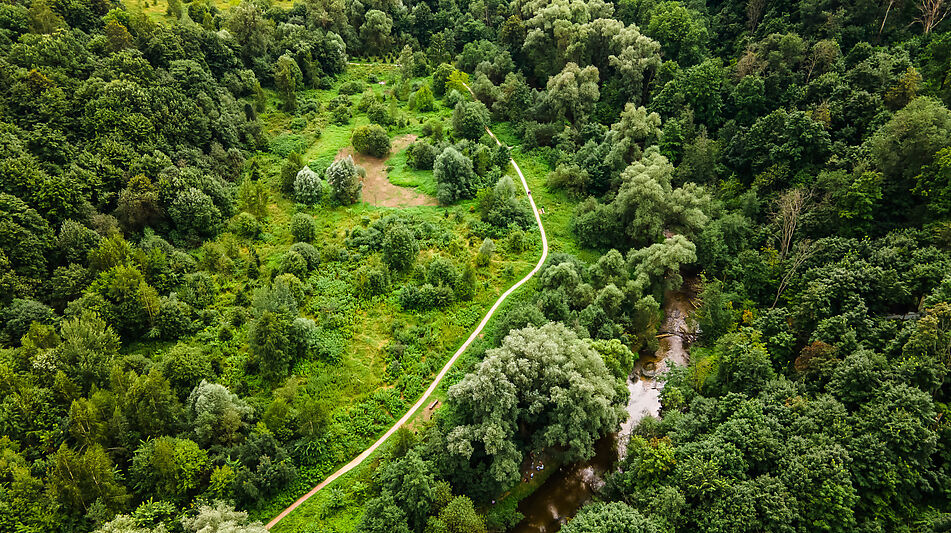 Лесной участок в Куркино