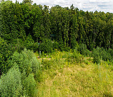 Лесной участок в Куркино