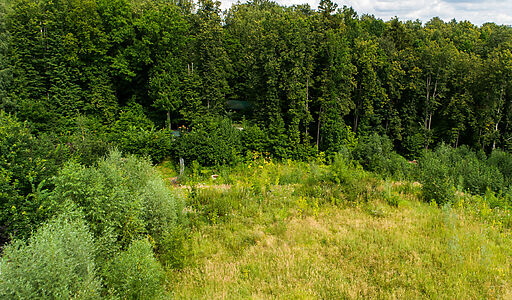 Лесной участок в Куркино