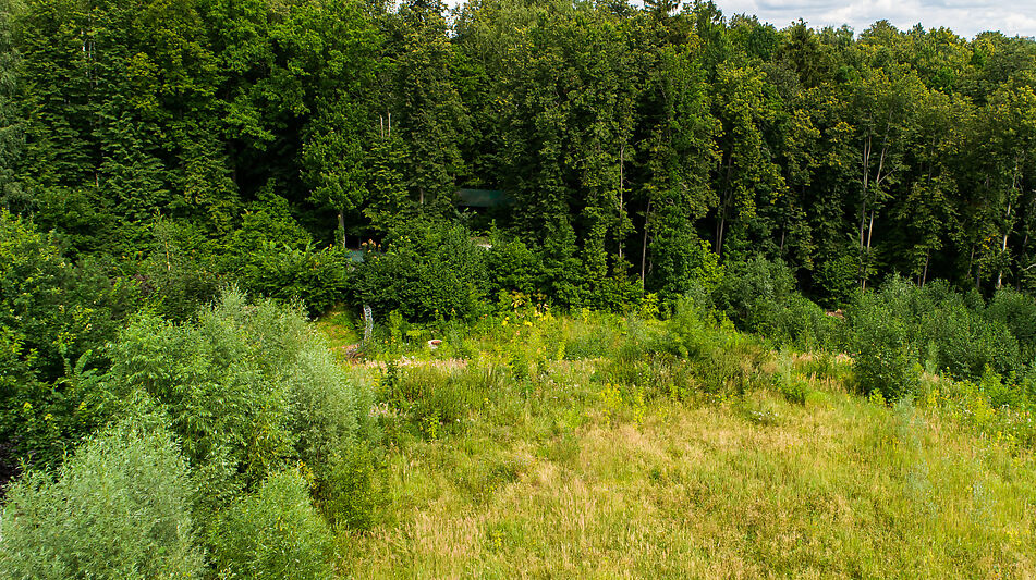 Лесной участок в Куркино