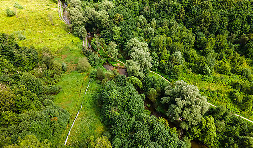 Лесной участок в Куркино