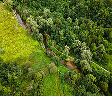Лесной участок в Куркино