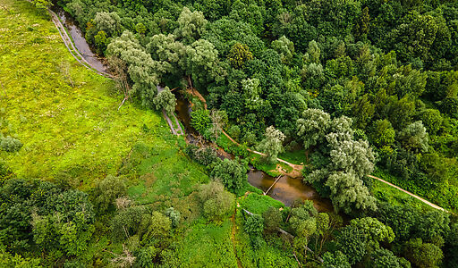 Лесной участок в Куркино