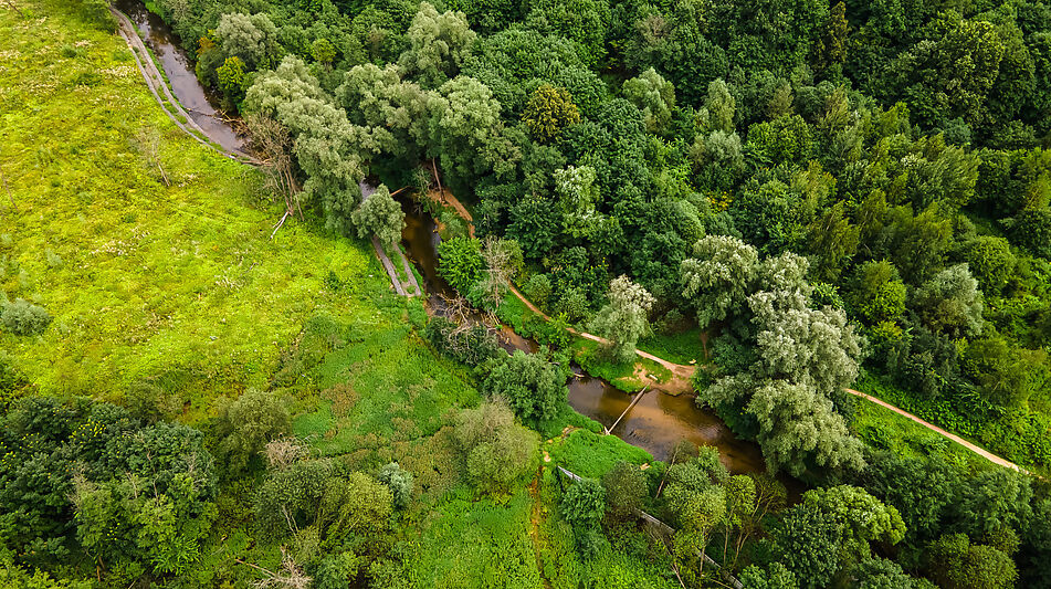 Лесной участок в Куркино