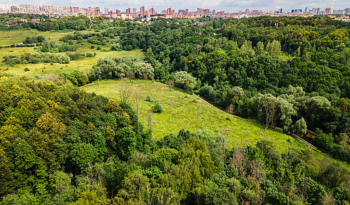 Лесной участок в Куркино