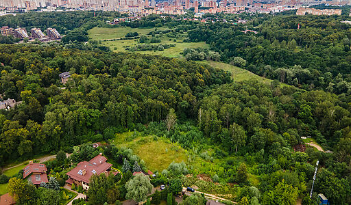 Лесной участок в Куркино