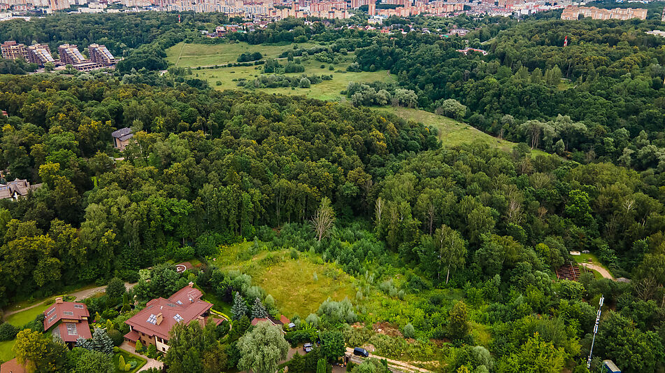 Лесной участок в Куркино