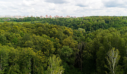 Лесной участок в Куркино
