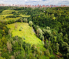 Лесной участок в Куркино