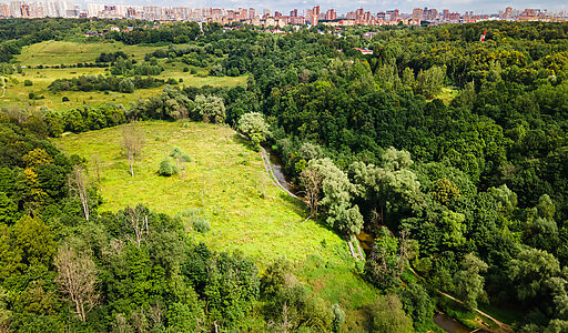 Лесной участок в Куркино