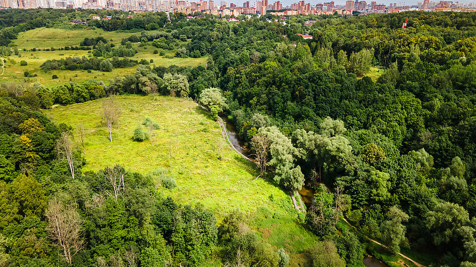 Лесной участок в Куркино