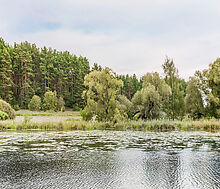 Дом у воды в Глухово