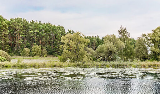 Дом у воды в Глухово