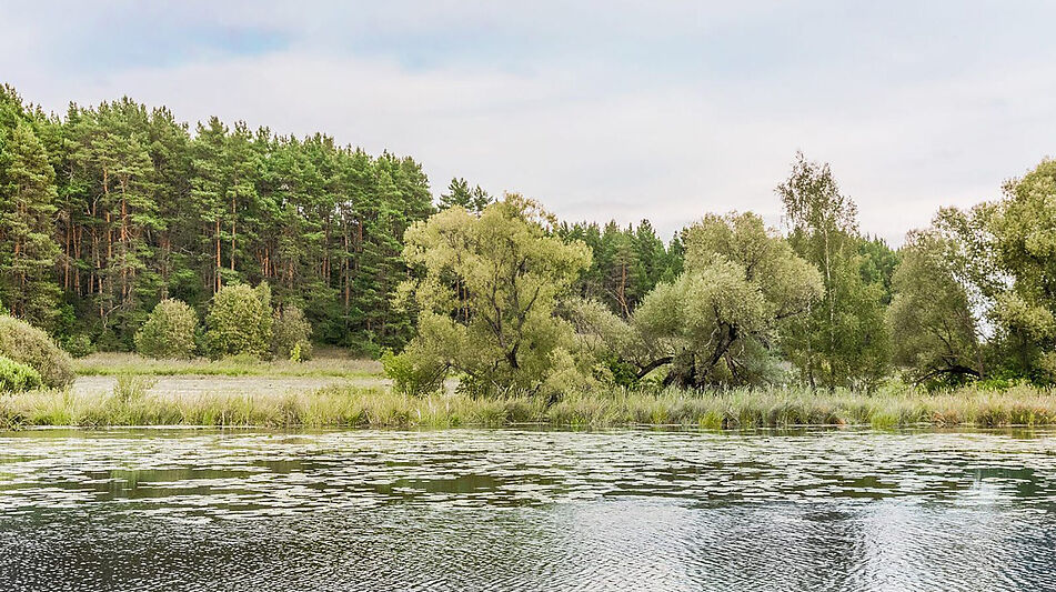 Дом у воды в Глухово
