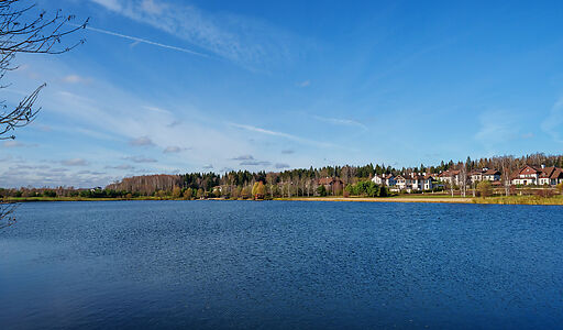 Просторный дом в КП Сорочаны