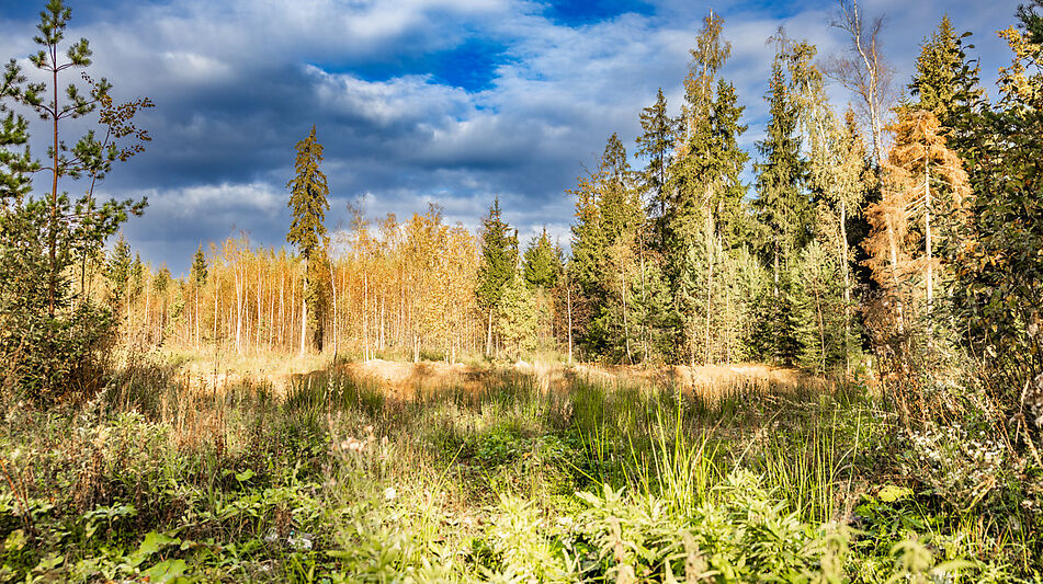 Дом без отделки в поселке Топаз