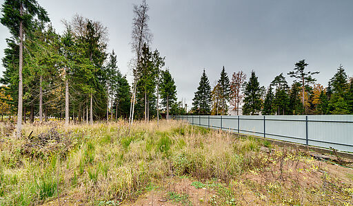 Видовой участок в поселке Топаз