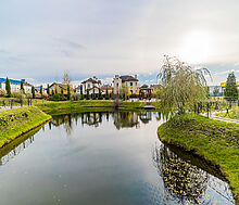 Николина Поляна