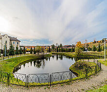 Николина Поляна