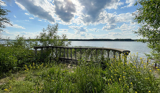 Дом на берегу Волги в Завидово