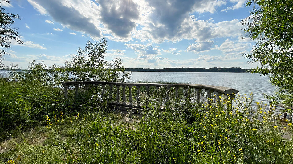 Дом на берегу Волги в Завидово