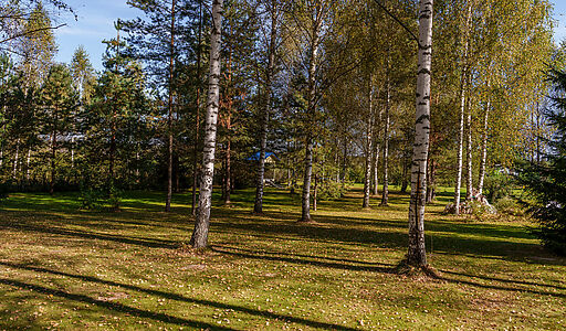 База Отдыха, Переславль-Залесский