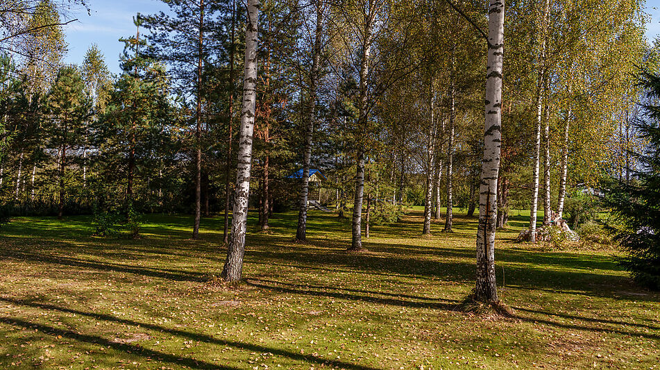 База Отдыха, Переславль-Залесский