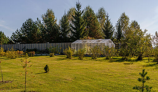 База Отдыха, Переславль-Залесский