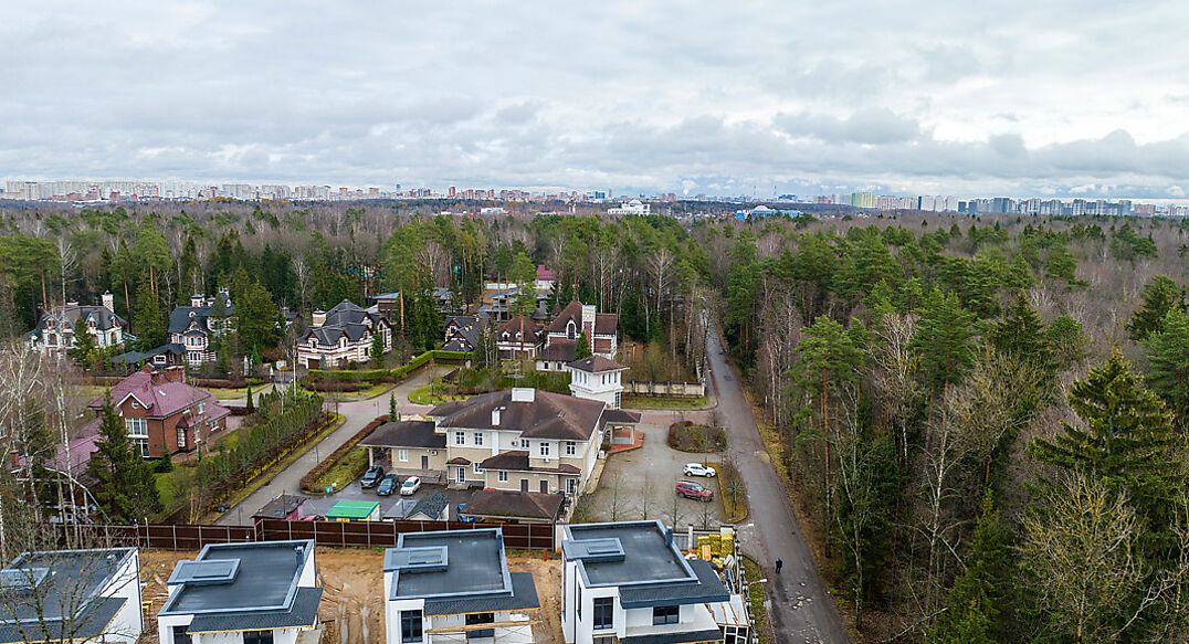 Новогорск Лес