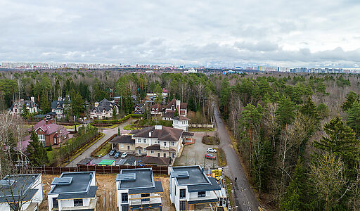 Новогорск Лес