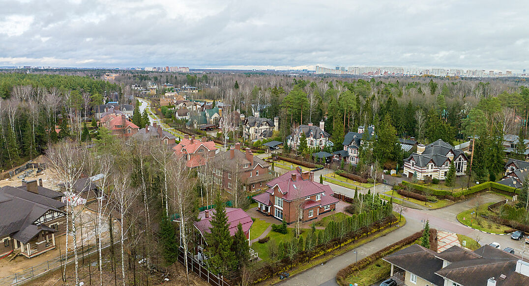 Новогорск Лес