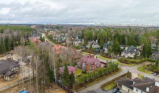 Новогорск Лес