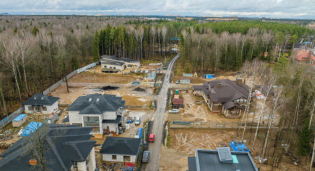 Новогорск Лес