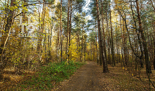 Участок рядом с водой в Витенево